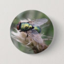 Search for flying bugs badges Animals