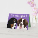 Search for bernard cards St bernard puppy