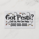 Search for bugs business cards Roaches