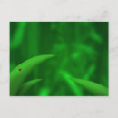 Search for green environment postcards Forest