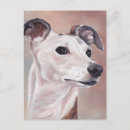 Search for whippet postcards Sighthound