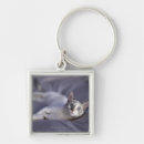 Search for young on key rings Animal