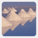 Search for wolf picture stickers Nature