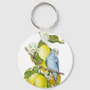 Search for budgie key rings Parakeet