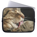 Search for whisker cases Animal