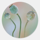 Search for seed stickers Close up