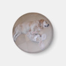 Search for easter love magnets Adorable