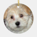 Search for havanese christmas tree decorations Rescue