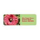 Search for macro labels Floral
