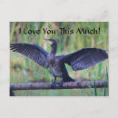 Search for wild bird postcards Photography