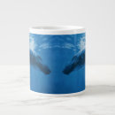 Search for humpback whale mugs Marine
