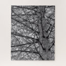 Search for black and white tree puzzles Pine trees