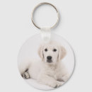 Search for purebred dog key rings Dogs