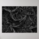 Search for tree roots posters Unique