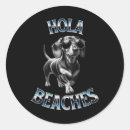 Search for hola stickers Beacher