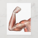Search for joint postcards Healthcare