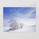 Search for large format postcards Washington