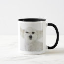 Search for wink face mugs Winking