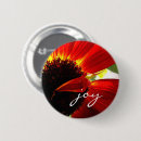Search for gerberas badges Daisy