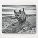 Search for digging mousepads Pets