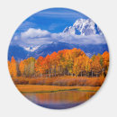 Search for grand teton national park magnets Reflection