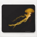 Search for hunting mousepads Fish