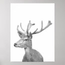 Search for black deer posters Forest