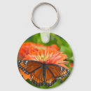 Search for mimic key rings Limenitis archippus