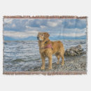 Search for golden retriever blankets Funny