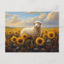Search for pastoral postcards Sheep