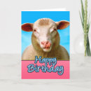 Search for funny sheep birthday cards Farm