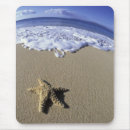 Search for hawaii mousepads Sea