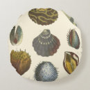Search for clam shell cushions Ocean