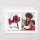 Search for amaryllis christmas cards Elegant