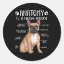 Search for pitbull lover stickers Pug