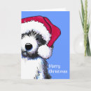 Search for bearded collie christmas cards Santa