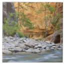 Search for zion tiles Utah