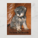Search for schnauzer puppy postcards Animal