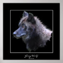 Search for timber wolves posters Animal lovers