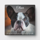 Search for quotes pet memorials Sympathy