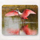 Search for environmentalist electronics Animal lover