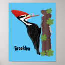 Search for woodpecker Cartoon