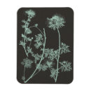 Search for study magnets Florals