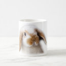 Search for holland lop mugs Rabbit
