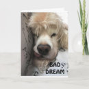 Search for already cards Dog