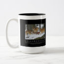 Search for demotivator mugs Funny