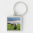 Search for ewe key rings Farm animals