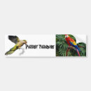 Search for parrot bumper stickers Nature