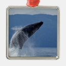 Search for alaska christmas tree decorations Outdoors