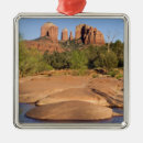 Search for cathedral christmas tree decorations Scenic